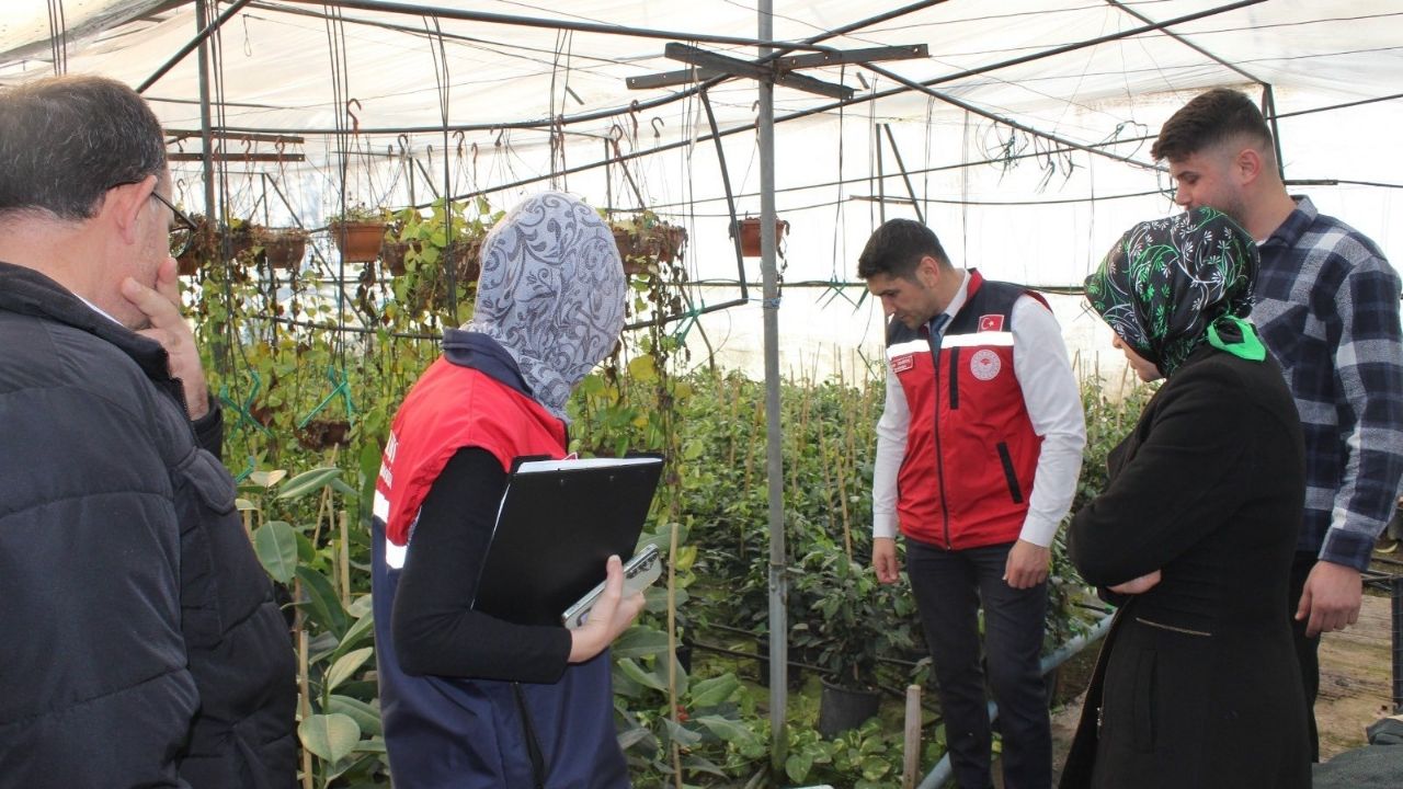 Düziçi’nde Dev Yatırım 4 Dönümlük Alanda Hayran Bırakan Görüntüler!