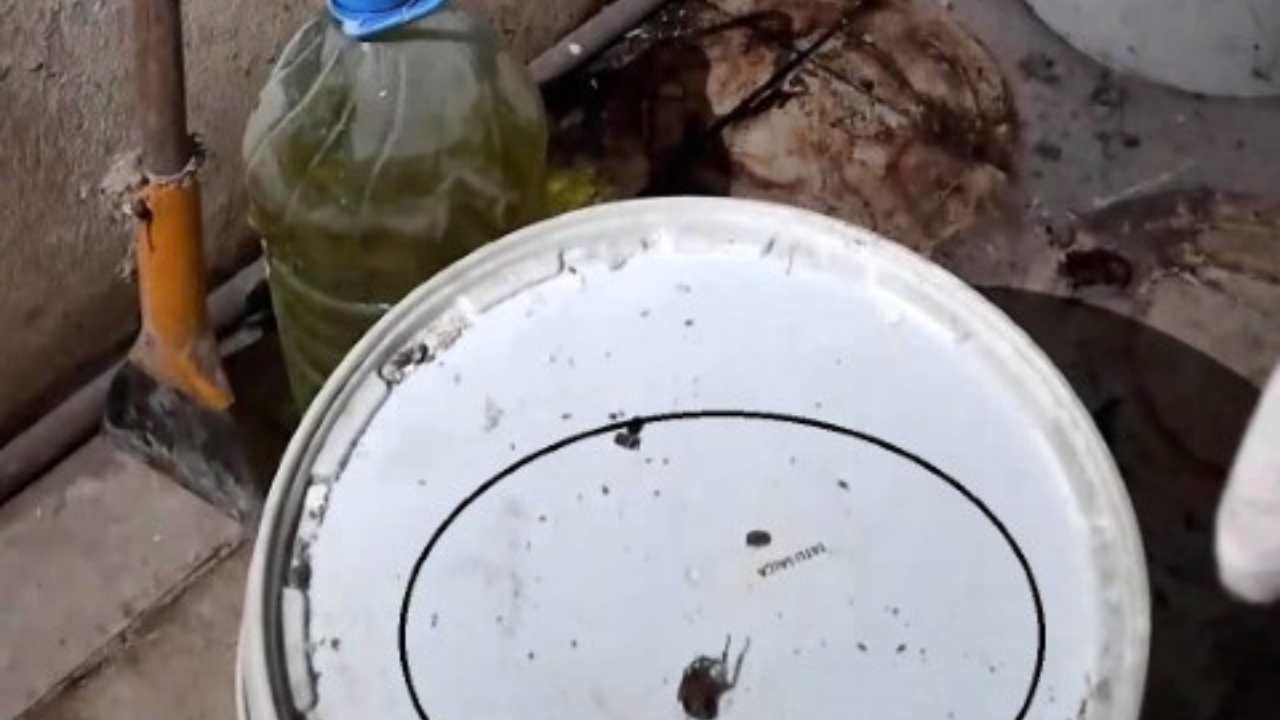 Hatay’da Fırın Denetiminde Şok Görüntüler “Fareyi Geçtim, Yılan Çıkacak Diye Korkuyorum” (2)