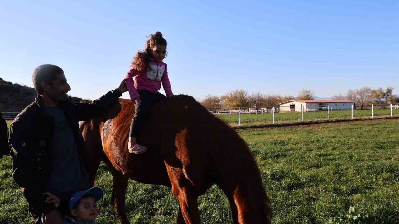 Kozan, Safkan Atların Yeni Gözdesi (2)