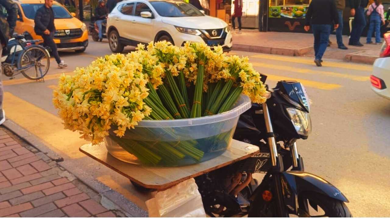 Osmaniye Sokaklarında Baharın Müjdeleyicisi Nergisler Tezgahları Süsledi (2)