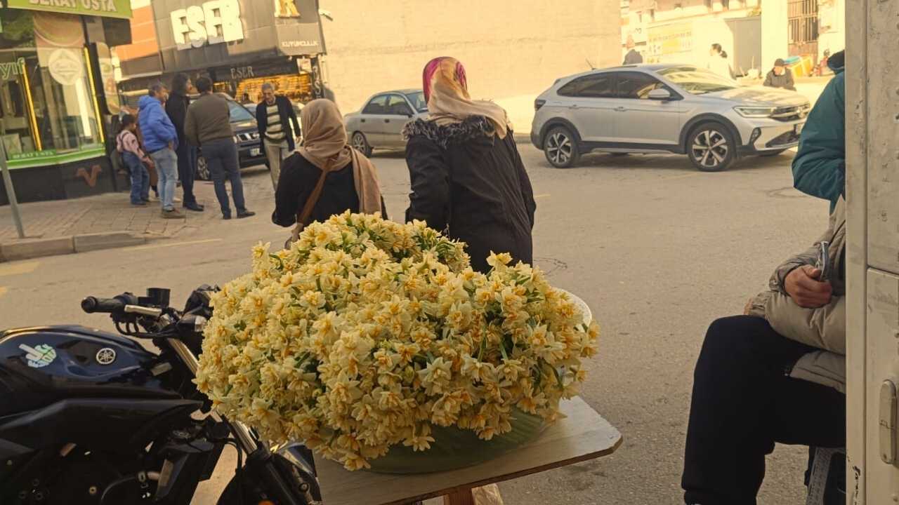 Osmaniye Sokaklarında Baharın Müjdeleyicisi Nergisler Tezgahları Süsledi (3)