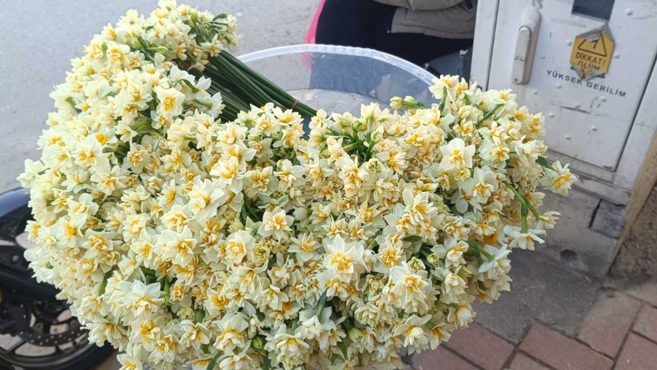 Osmaniye Sokaklarında Baharın Müjdeleyicisi Nergisler Tezgahları Süsledi (4)