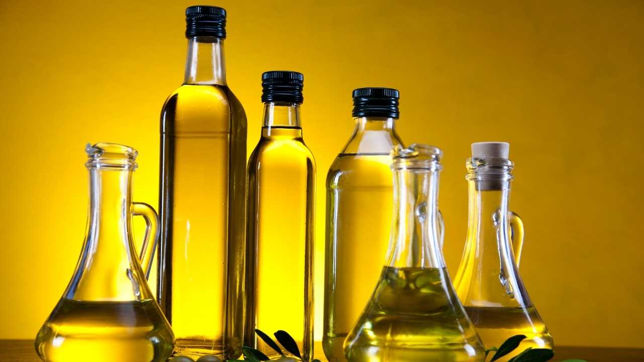 Osmaniye Zeytincilikte Atağa Kalkıyor (6)