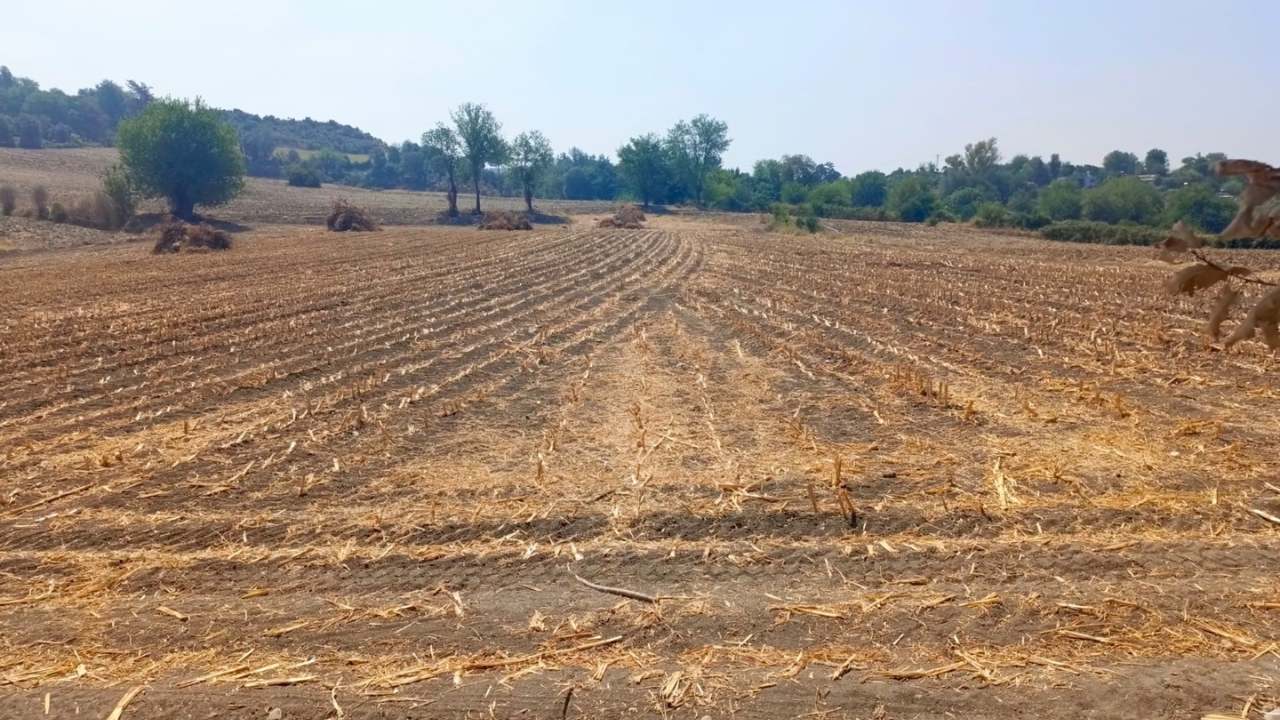 Osmaniye’de Kurulan Bu Tesisin Rakamlarını Duyunca Şoke Olacaksınız (1)