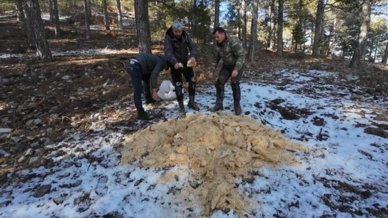 Osmaniye'de Motorcular Kimsenin Çıkamadığı Zirveye Tırmandı Sebebini Duyanlar Gözlerine İnanamadı! (1)