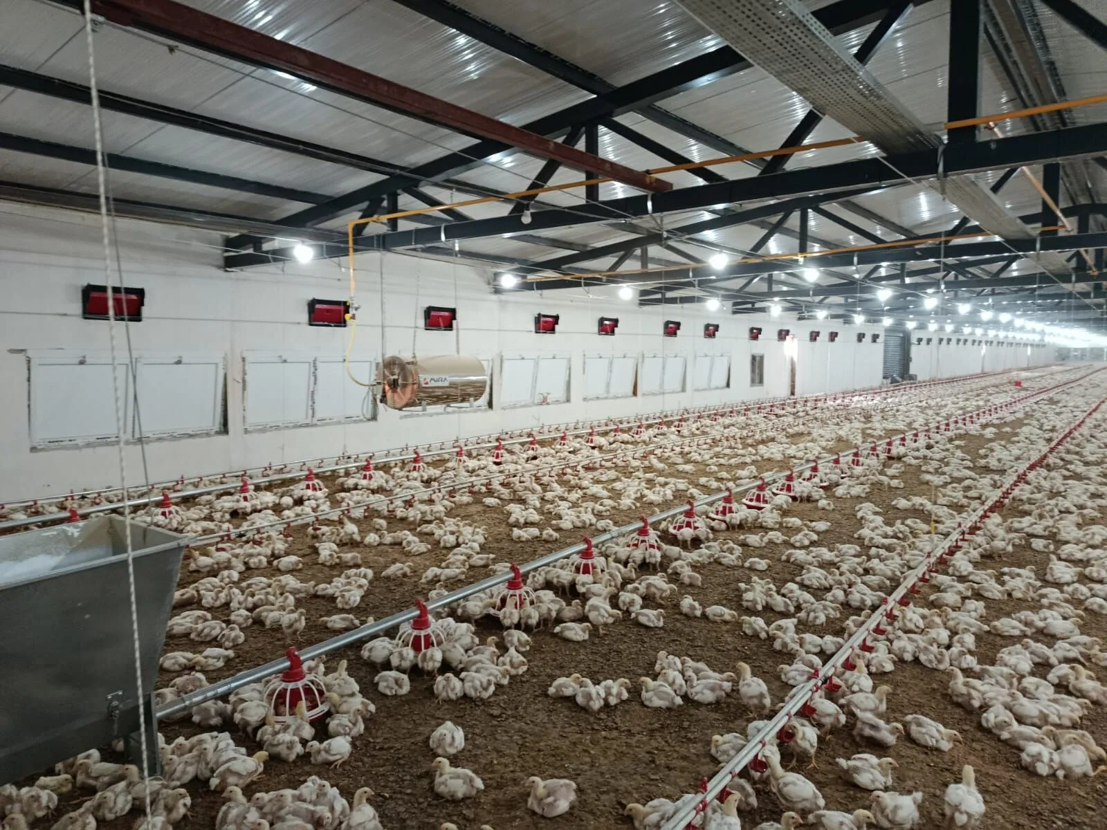 Osmaniye’de Tarımsal Ve Hayvansal Üretim İçin Yeni Bir Yatırım