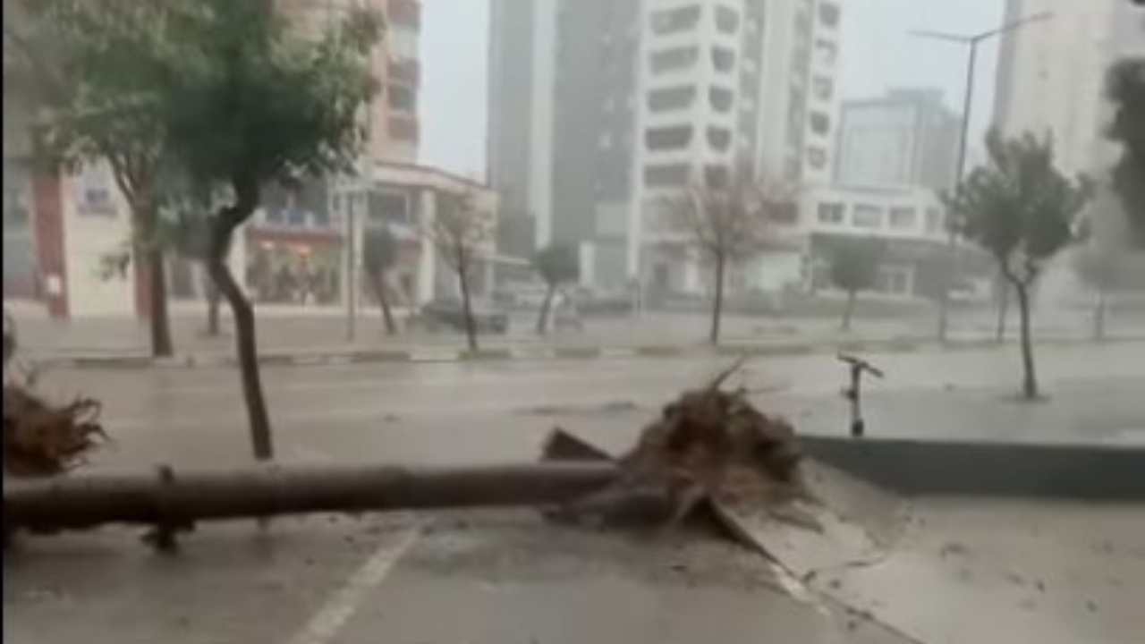 Adana’da Fırtına Ağaçları Yerinden Söktü (1)