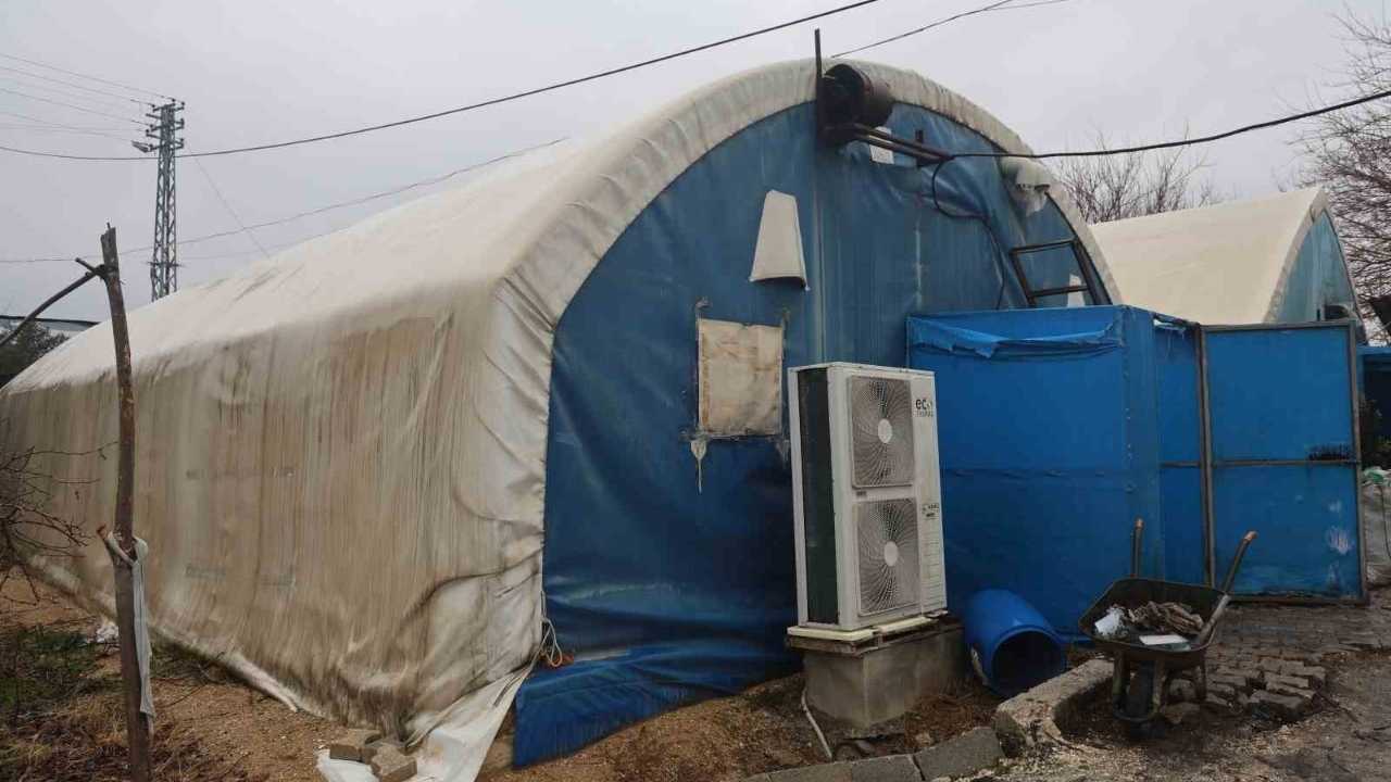 Ahırda Başladı, 3 Çadırla Büyüdü (1)