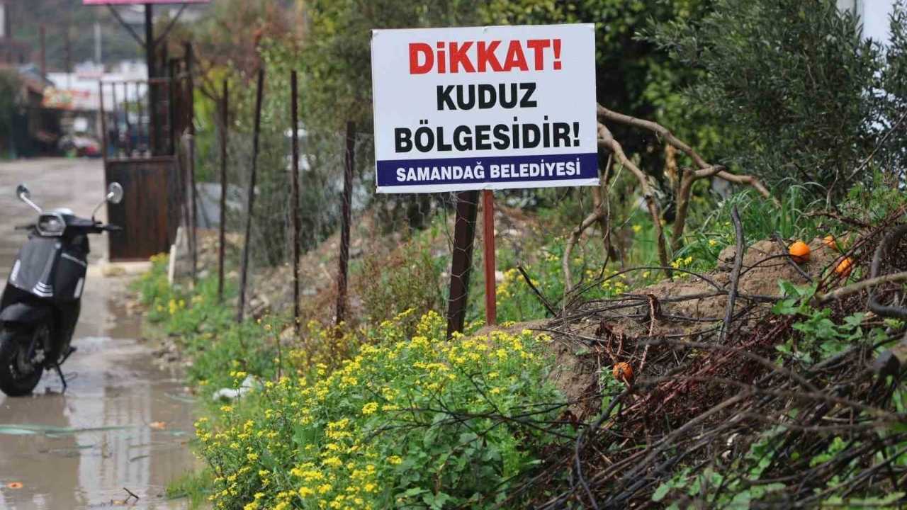 Hatay’da 4 Mahalle Kuduz Nedeniyle Karantinaya Alındı (2)