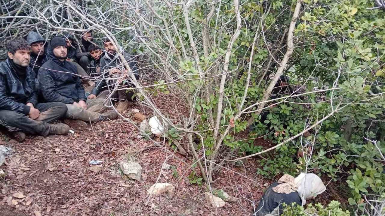 Hatay’da Zeytinlik Alanda 30 Düzensiz Göçmen Yakalandı (1)