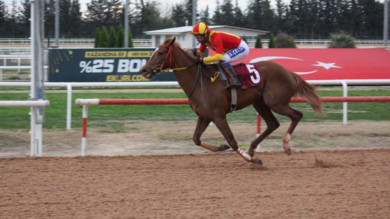 Osmaniye Belediye Başkanlığı Koşusu’nu Syntagma Kazandı