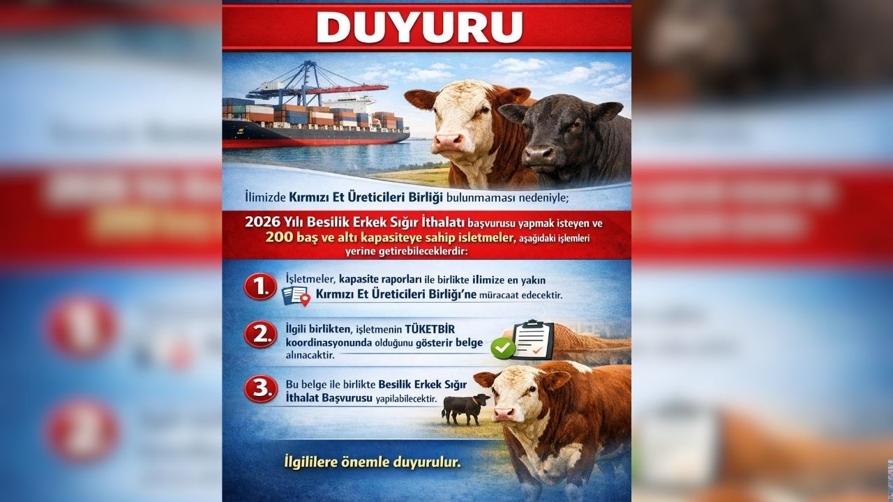 Osmaniye Besilik Erkek Sigir Ithalati 2026.Jpg