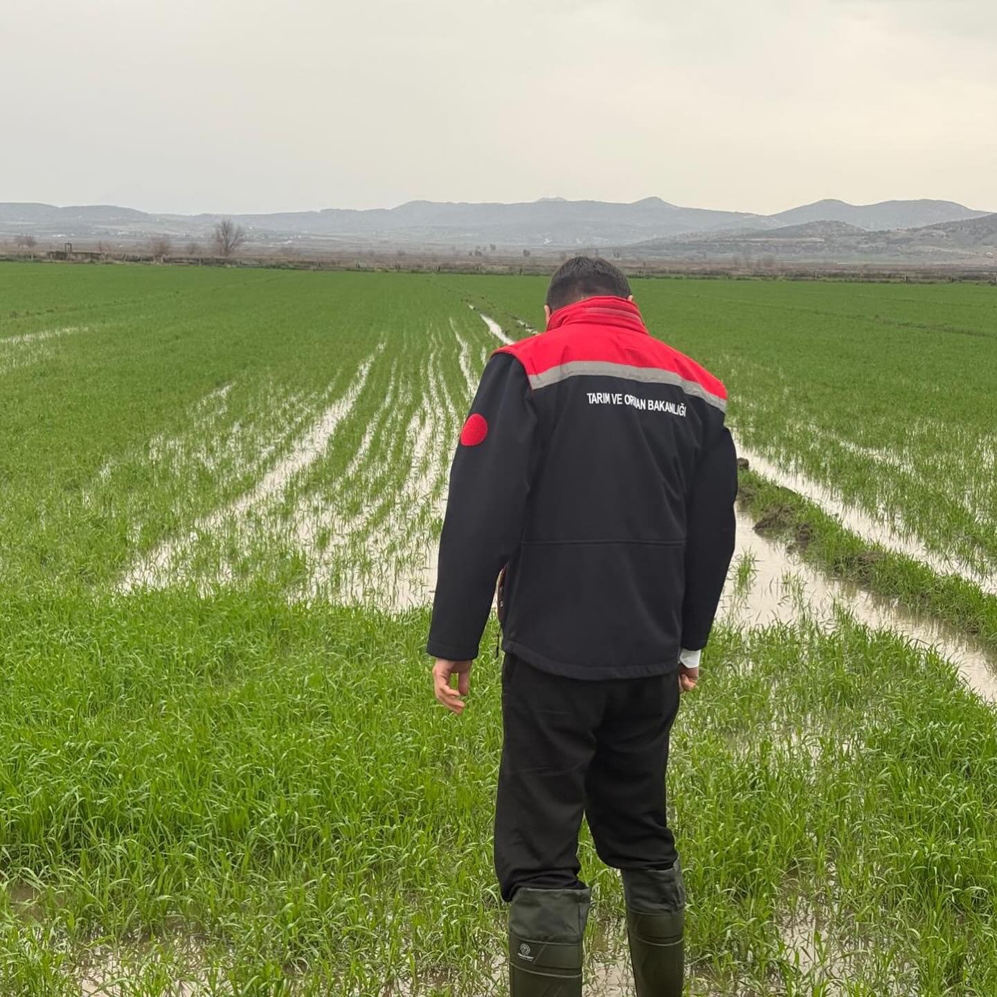 Osmaniye’de Sağanak Sonrası Hasar Tespit Mesaisi Başladı (2)