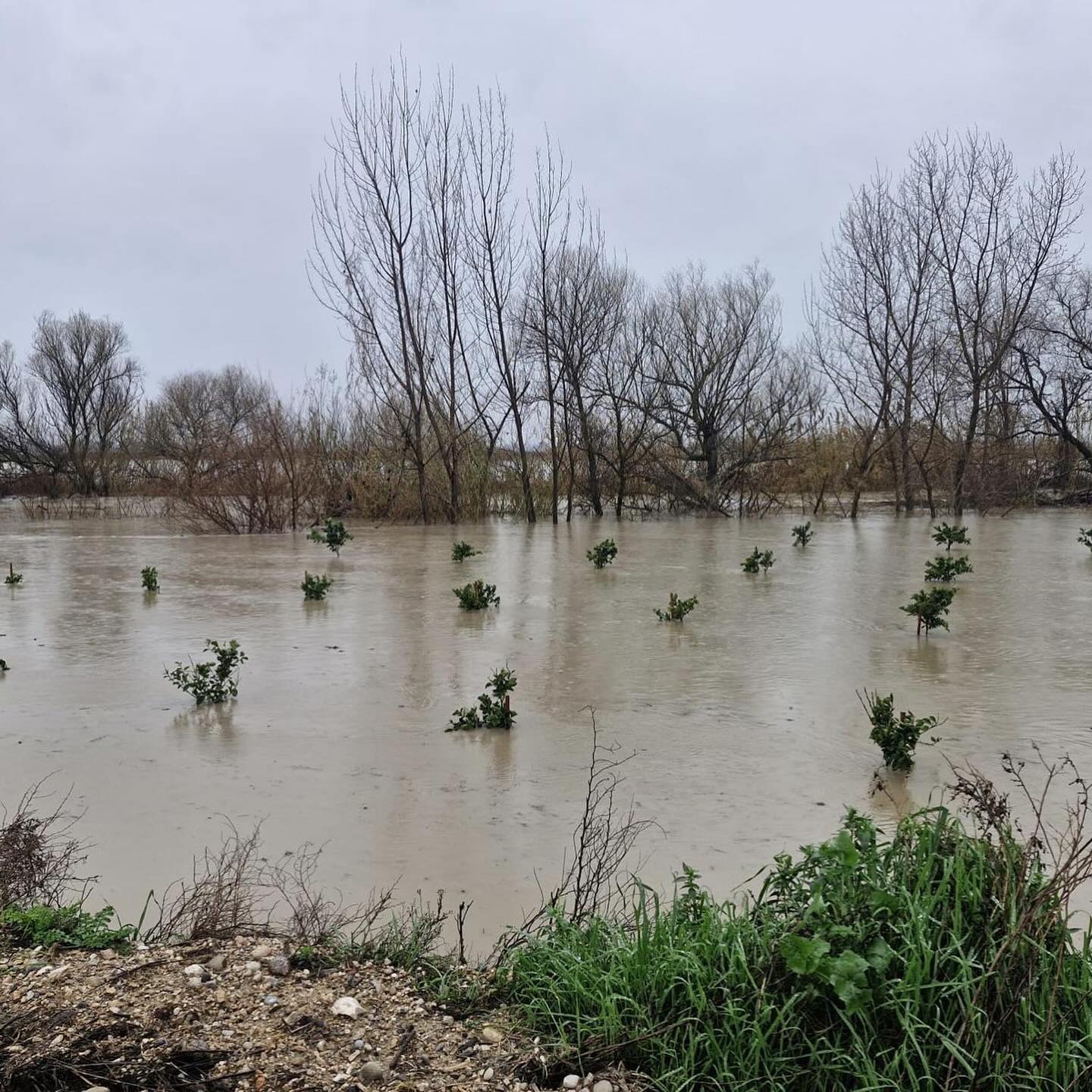 Osmaniye’de Sağanak Sonrası Hasar Tespit Mesaisi Başladı (4)