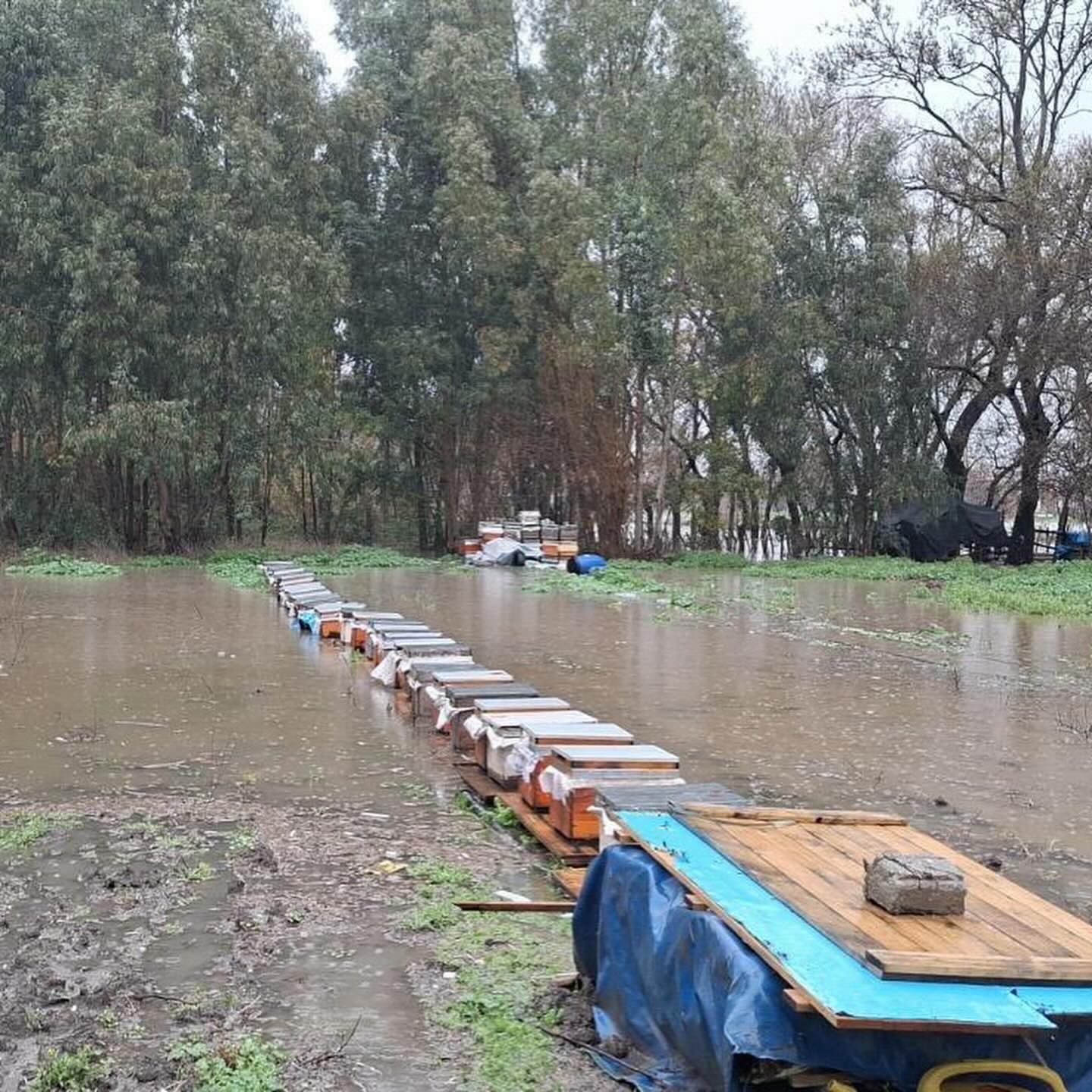 Osmaniye’de Sağanak Sonrası Hasar Tespit Mesaisi Başladı