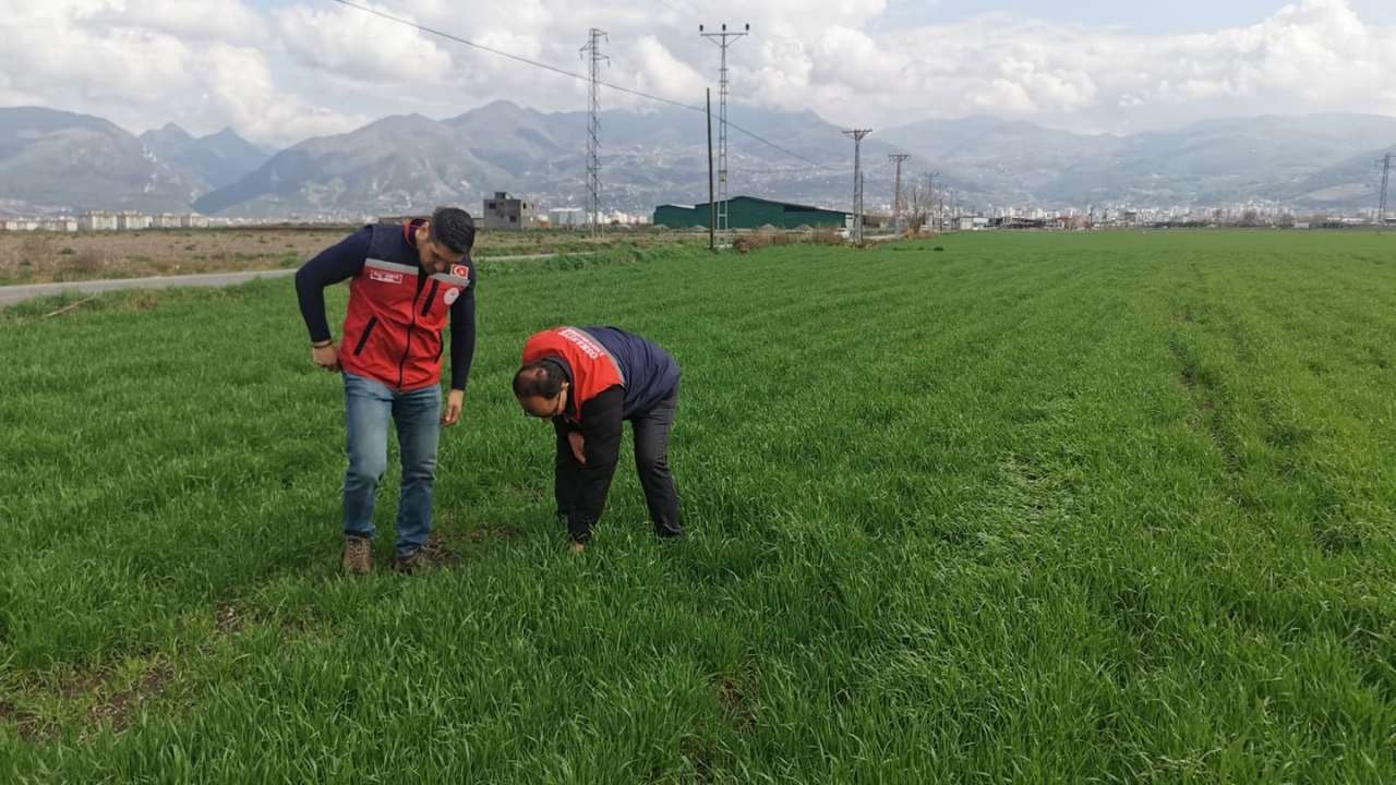 Osmaniyeli Üreticiler Dikkat! Yağış Sonrası Hastalık Riski Kapıda (2)