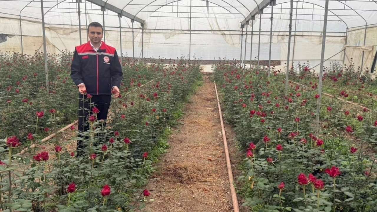 Osmaniye’nin Gülleri Kadın Eliyle Ekonomiye Dönüştü (2)