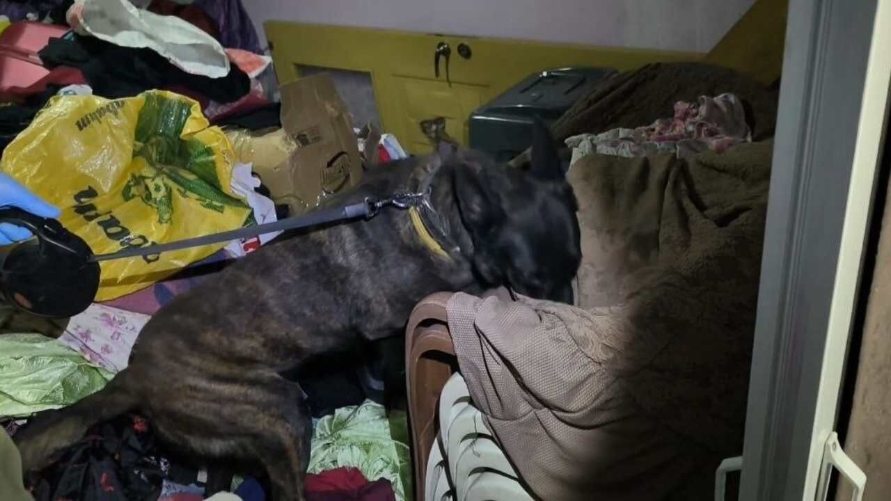 Adana’da Operasyonda 335 Bin Yasaklı Madde Hap Ele Geçirildi (2)