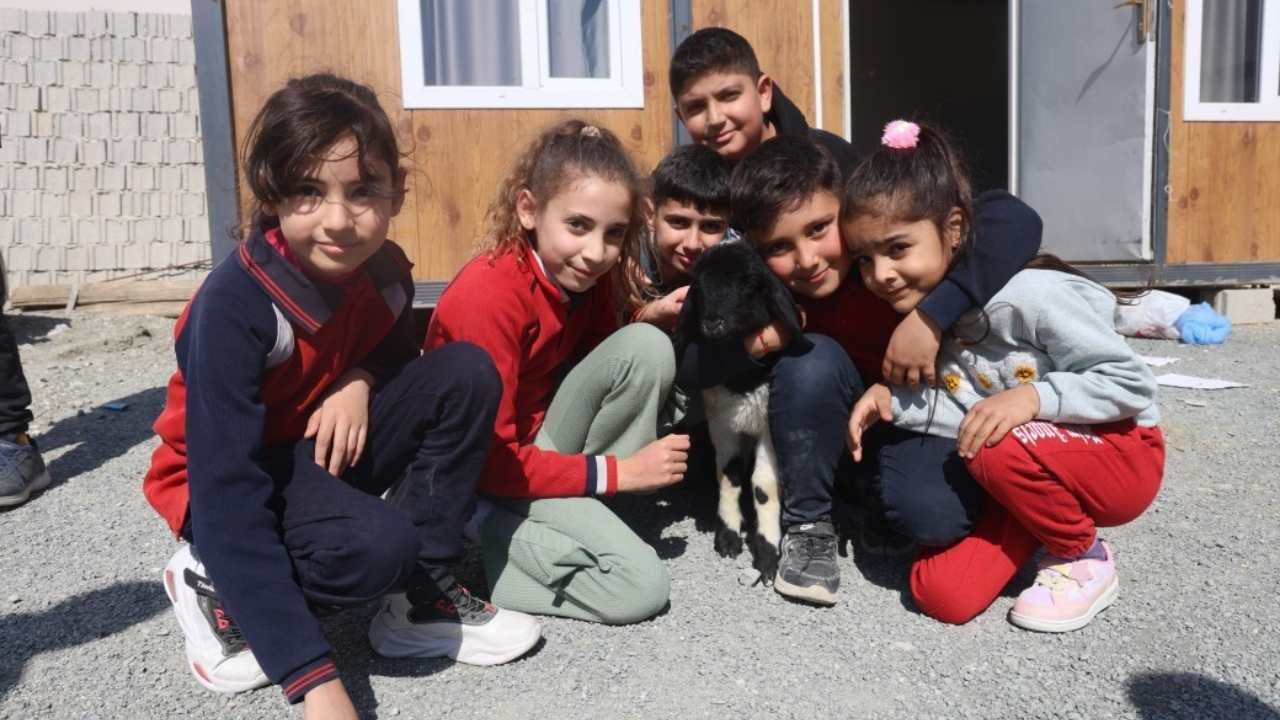 Annesiz Kalan ‘Boncuk’ Kuzu Mahallede Ilgi Odağı Oldu (2)