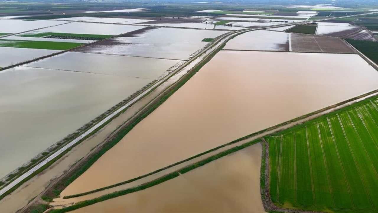 Çukurova’da Sağanak Tarımı Vurdu Tarlalar Sular Altında (1)