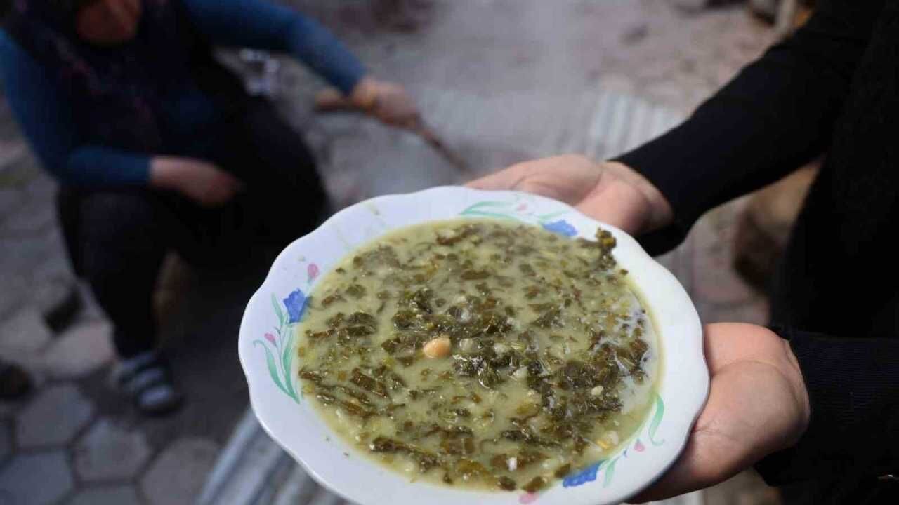 Doğadaki Zehirli Ot Kara Kazanda Şifaya Dönüşüyor (2)