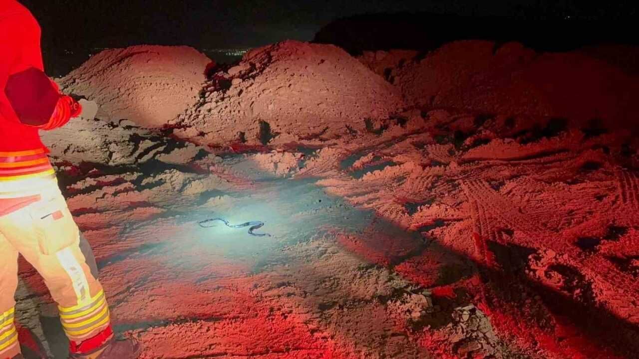 Hatay’da Camide Görülen Yılan Itfaiye Tarafından Yakalandı (2)