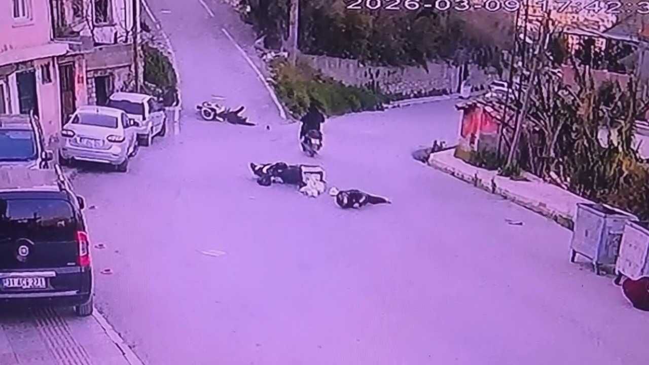 Hatay’da Motosikletler Kafa Kafaya Çarpıştı 3 Yaralı (1)