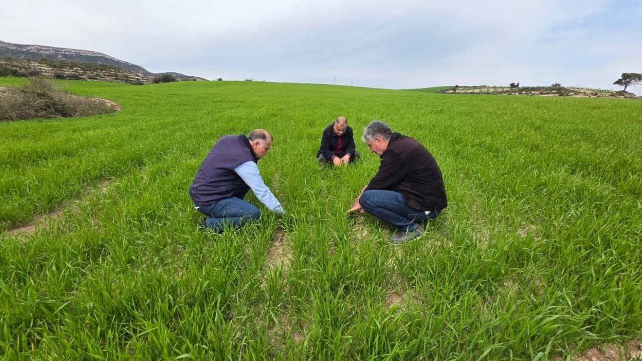 Osmaniye İl Tarım’dan Bitki Sağlığı İçin Yakın Takip (2)