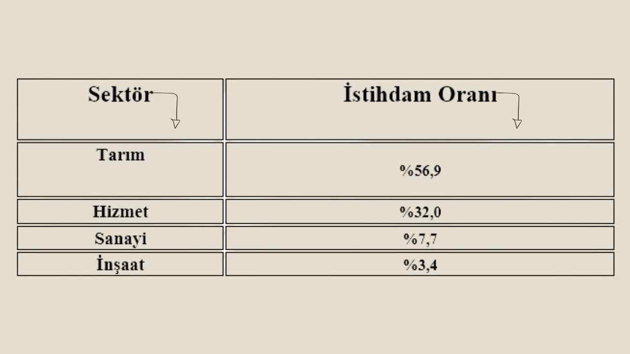 Osmaniye Yaşlılar Tüik (2)
