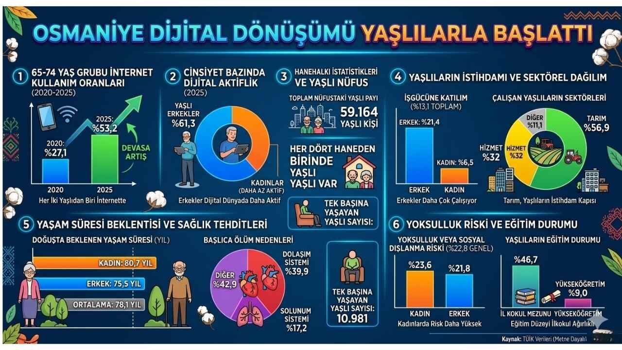 Osmaniye Yaşlılar Tüik (3)