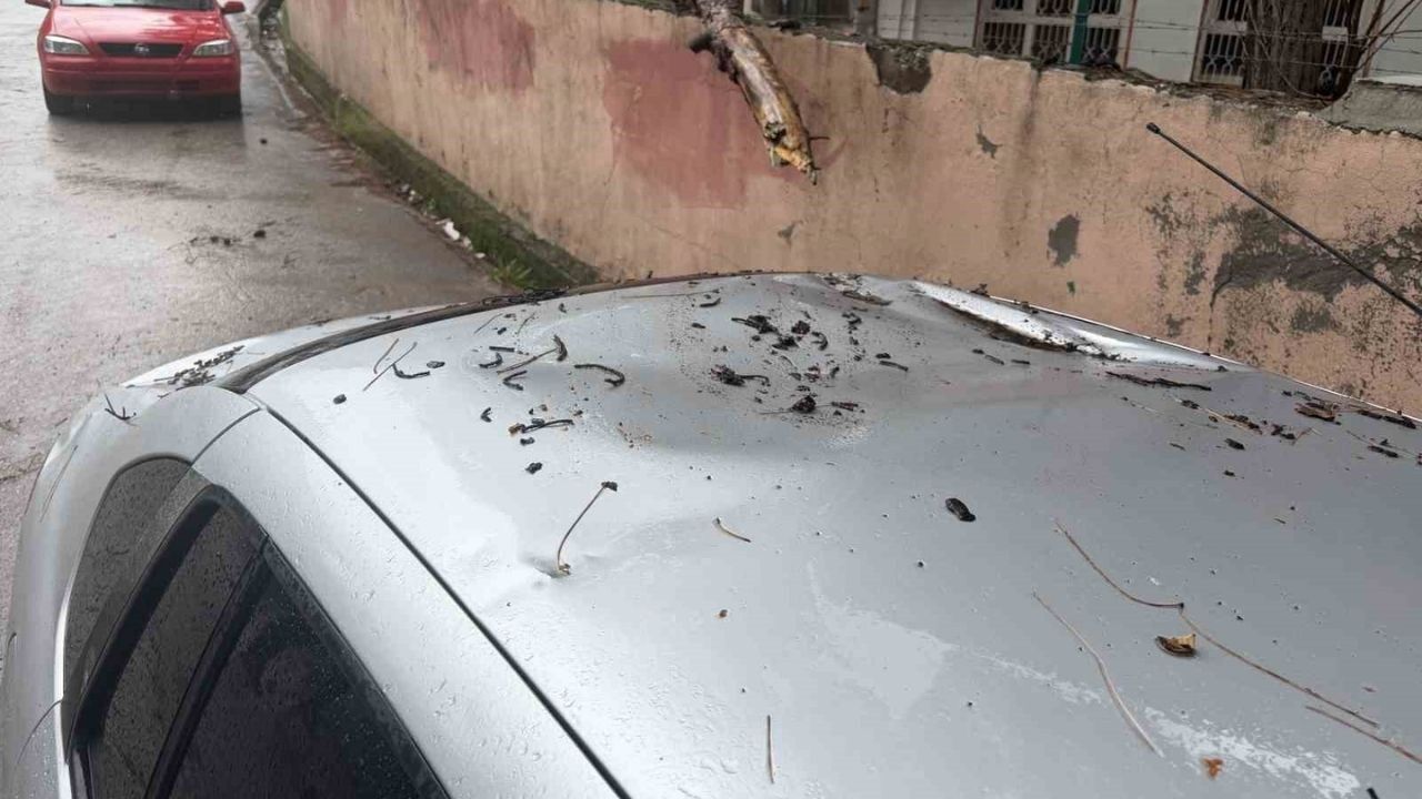 Osmaniye’de Fırtına Çam Ağacını Devirip Otomobilin Üzerine Düşürdü (1)