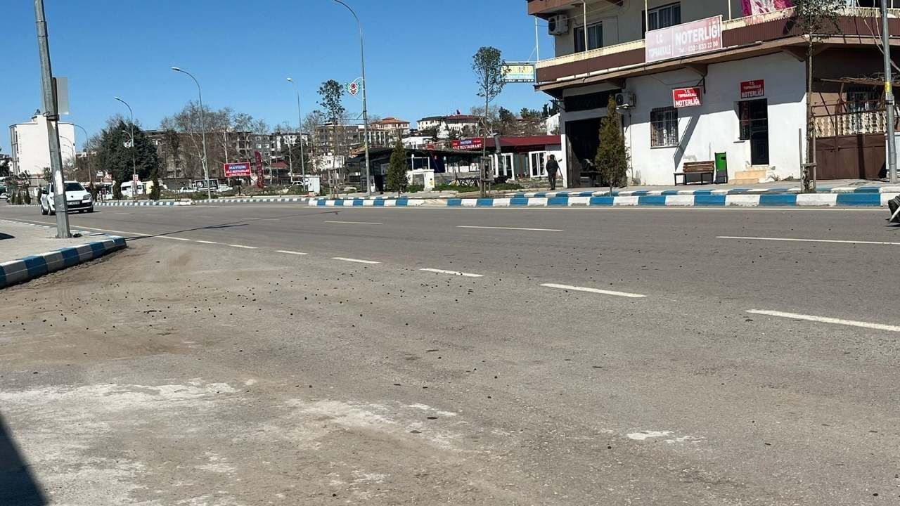 Osmaniye'de İlginç Manzara Şehir Merkezi Mi, Hayvan Geçiş Güzergahı Mı (3)