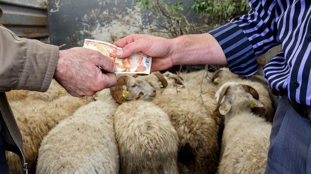 2026 Kurbanlık Fiyat Listesi Belli Oldu İşte İl İl En Ucuz Rakamlar (1)