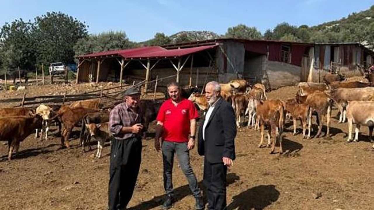 Adana’da Güney Sarısı Bereketi Yerli Irk Üreticinin Yeni Gözdesi Oldu (2)