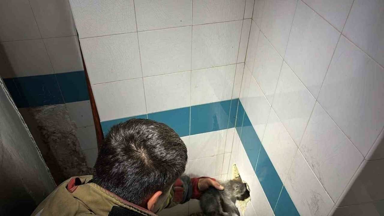 Hatay İskenderun'da Nefes Kesen Kurtarma Bacadan Düşen Yavru Kedi Duvar Kırılarak Kurtarıldı (2)