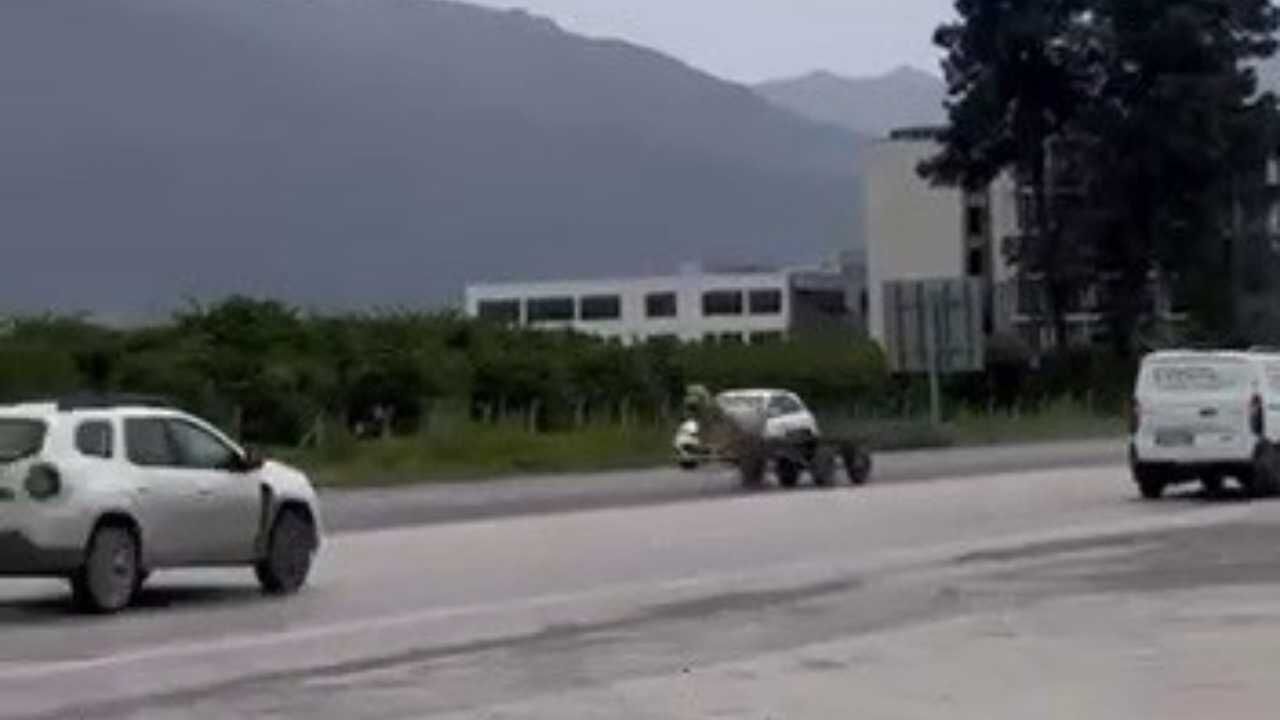 Hatay’da Trafikte Başıboş At Paniği (2)