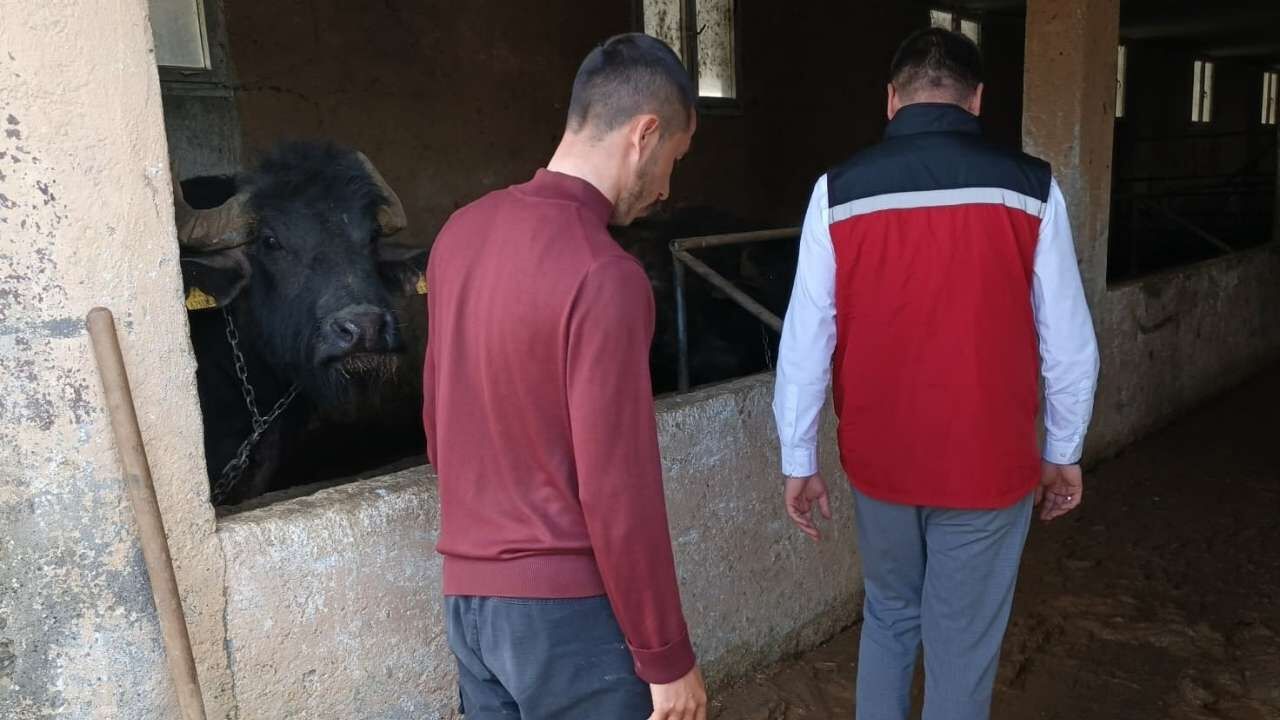 Hemite Köyü’nde Hasar Tespit Çalışmaları Başladı (2)