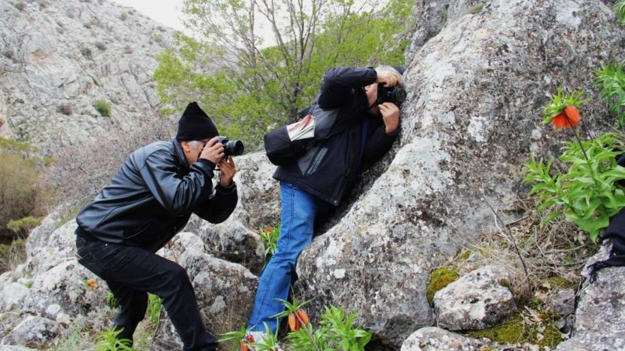 Kahramanmaraş'ta Onu Koparana 700 Bin Tl Ceza! (1)