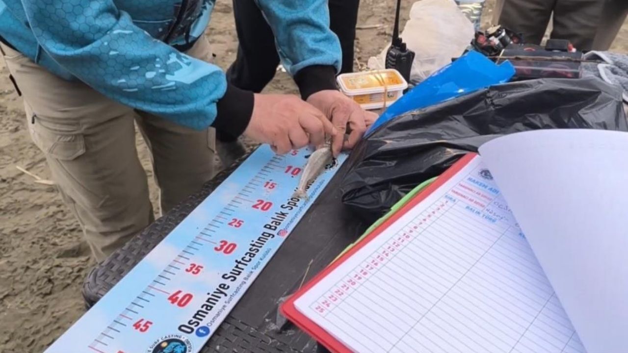 Osmaniye Surf Casting İmzası 12 Saat Kesintisiz Mücadele, Dev Balıklar İçin Yarıştılar! (4)