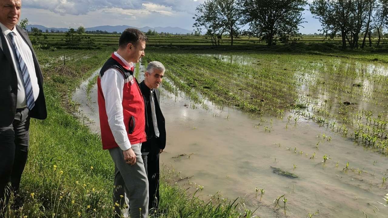 Osmaniye'de Sağanak Sonrası Tarımsal Hasar İçin Düğmeye Basıldı