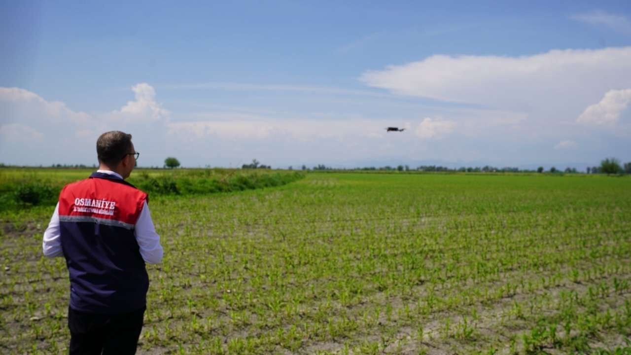 Osmaniye'de Tarım Arazileri Kontrol Edildi Hasar Sıfır! (1)