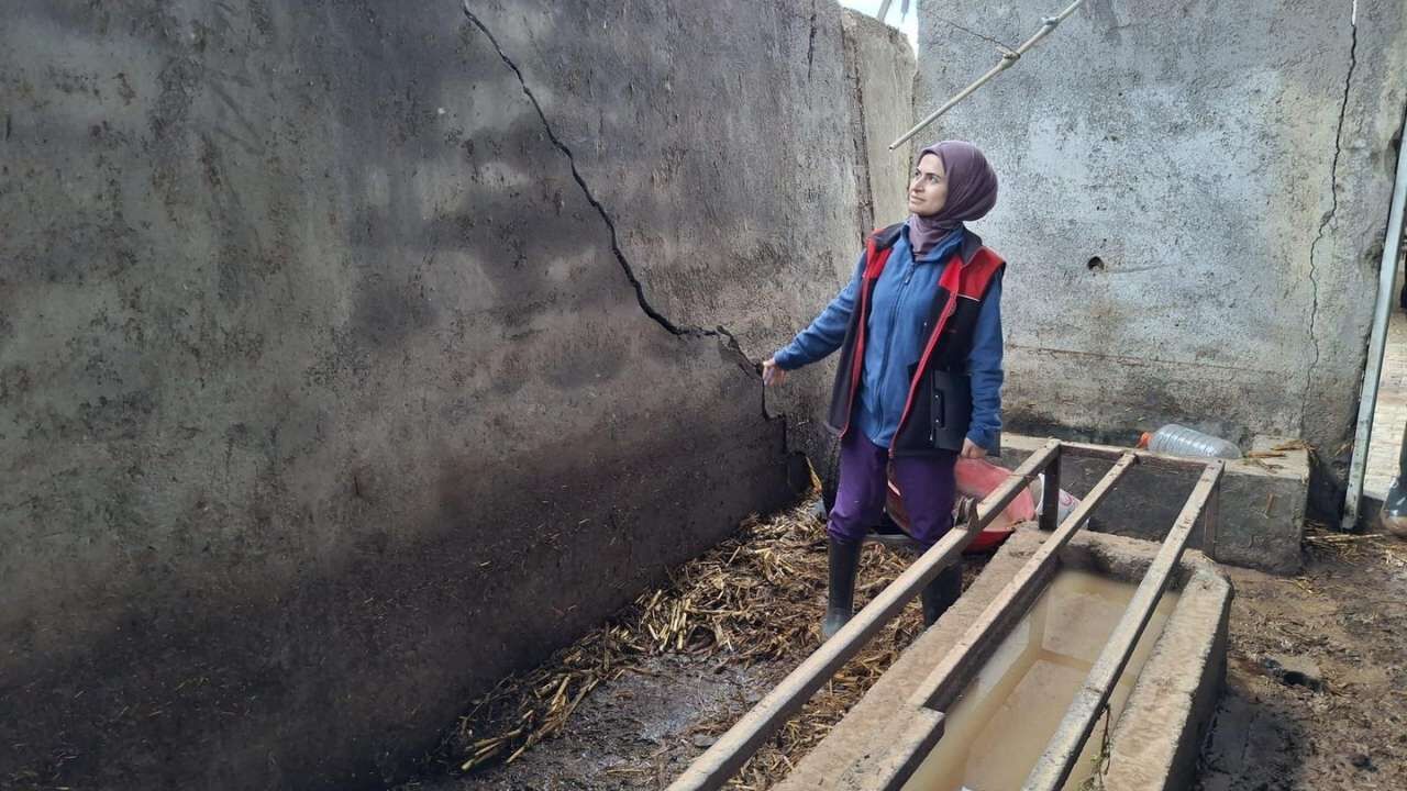 Osmaniye’de Tarım Arazilerinde Hasar Tespit Çalışmaları Başladı (3)