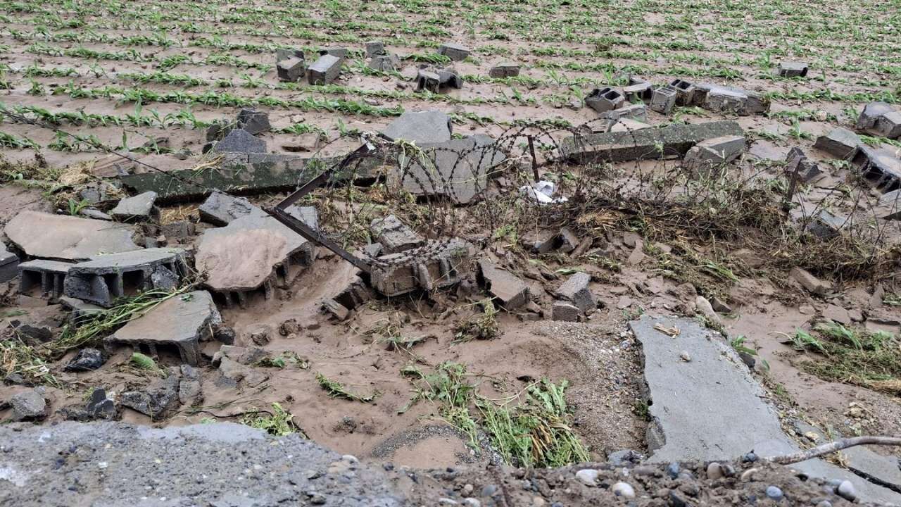 Osmaniye’de Tarım Arazilerinde Hasar Tespit Çalışmaları Başladı