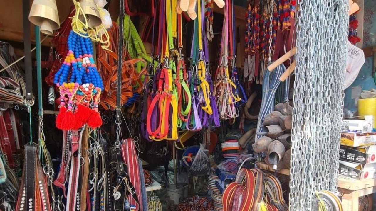 Osmaniye'nin Son Saraç Ustası Kadir Koçabaş Yarım Asırlık Zanaatı Yaşatıyor (3)