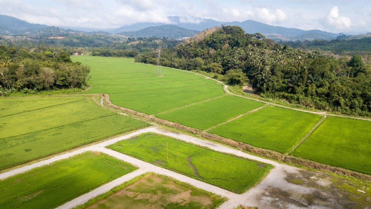 Tapusu Olan Herkesi İlgilendiriyor O Yapılar İçin 'Derhal Boşaltın' Talimatı Geldi! 5 Dönüm Altı Olanlar Dikkat!