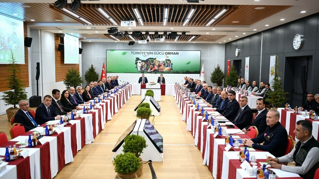 Vali Serdengeçti Ankara'da Osmaniye Orman Yangınlarına Karşı Teyakkuzda (1)