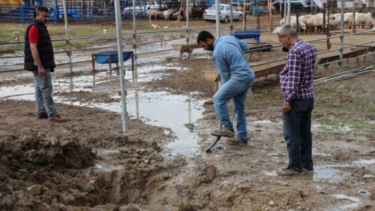 Adana’da Kurban Pazarlarını Su Bastı (5)
