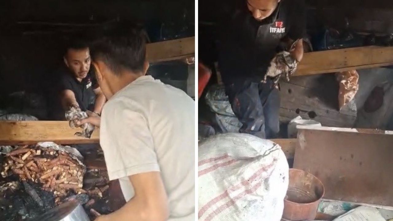 Düziçi'nde Korkutan Yangın Anne Kedi Ve 3 Yavrusu İtfaiye Tarafından Kurtarıldı (1)