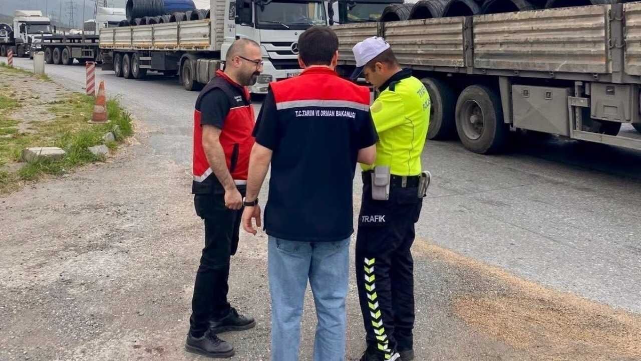 Hatay’da Kurban Bayramı Öncesi Sıkı Hayvan Denetimi Salgın Riskiyle Mücadele (2)
