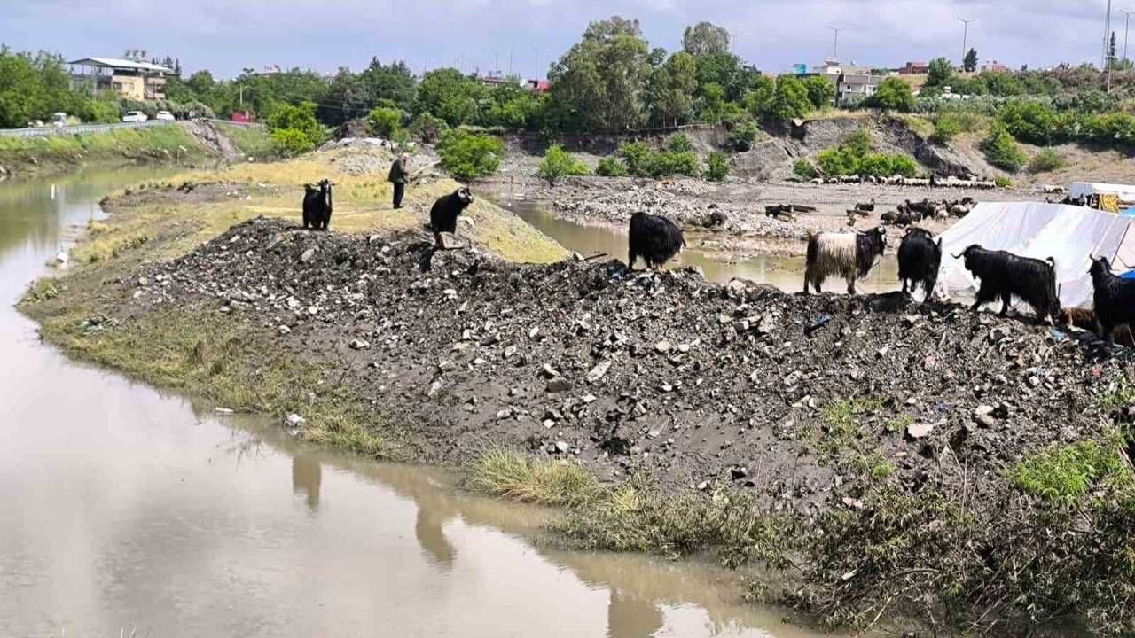 Hayvan Pazarında Sel Felaketi Üreticileri Çaresiz Bıraktı (2)